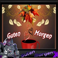 MorgenStream